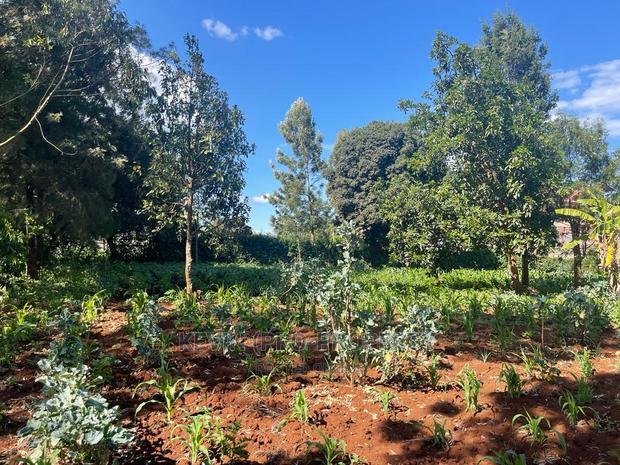 Prime Commercial Plot in Kikuyu, Thogoto-Southern Bypass.
