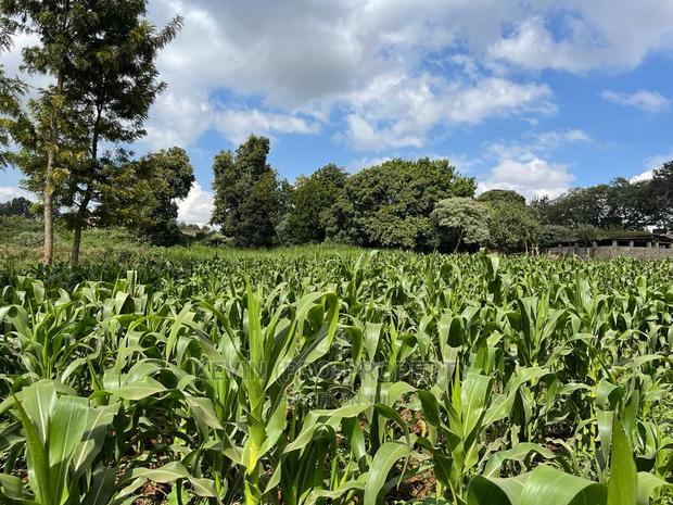Prime Block of Land for Sale in Kikuyu Town.