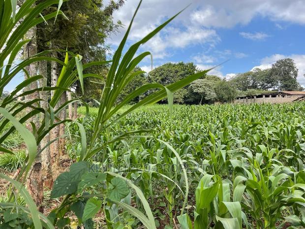 Prime Block of Land for Sale in Kikuyu Town.