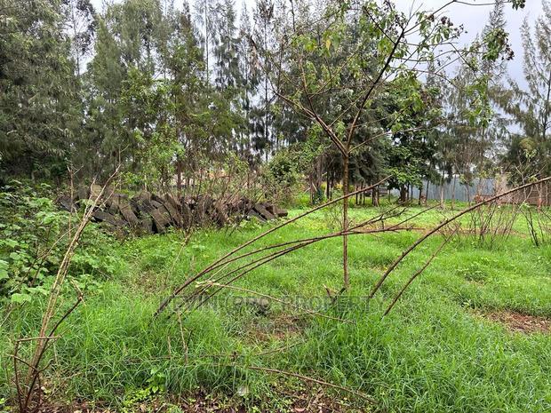 Prime Commercial Plot for Sale in Kikuyu Town.