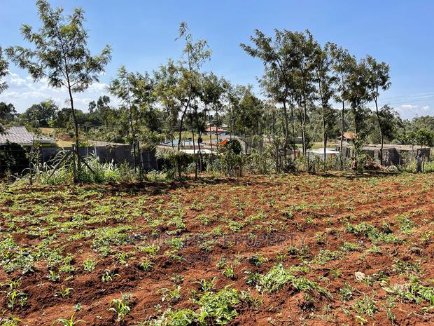 Residential 70 X 100 Fts Plot for Sale in Kikuyu, Gikambura.