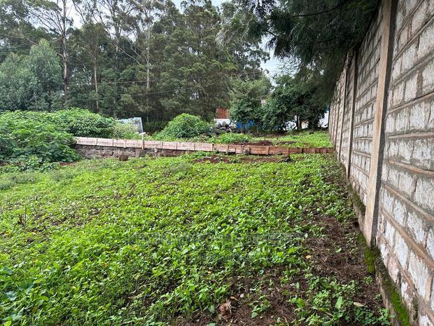 Prime Commercial Plot in Kikuyu Town (Fronting the Tarmac).