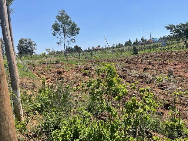 Residential 0.05 Ha Plot for Sale in Kikuyu, Kamangu.