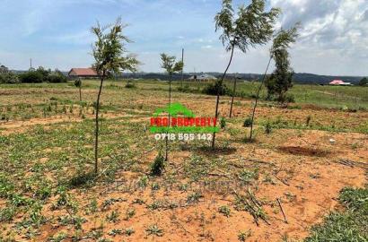 Prime 1/8 Acre Residential Plot for Sale in Kamangu.
