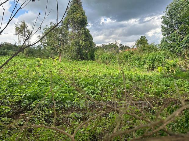 Affordable 1/4 Acre Plot for Sale in Kikuyu-Thigio