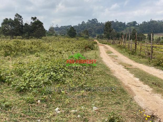 Prime Plot for Sale in Limuru, Kamirithu.