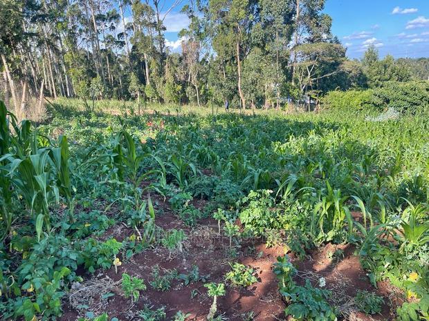 Prime Commercial Plot in Kikuyu, Sigona Along Waiyaki Way.