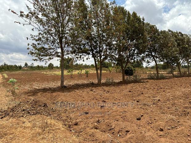 Residential Half Acre Land for Sale in Kikuyu, Kamangu.