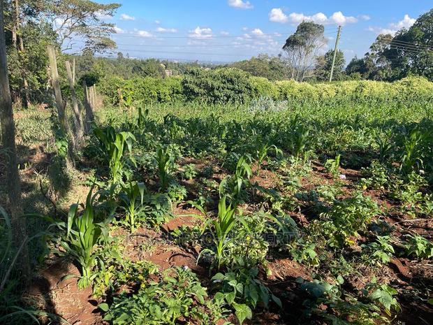Prime Commercial Plot in Kikuyu, Sigona Along Waiyaki Way.