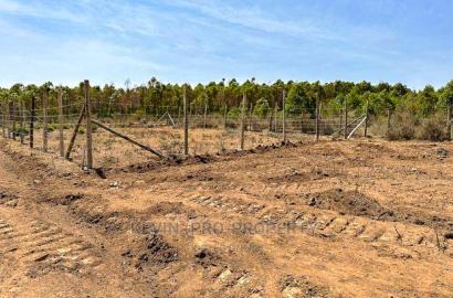 Affordable Residential Plots for Sale in Kikuyu, Kamangu