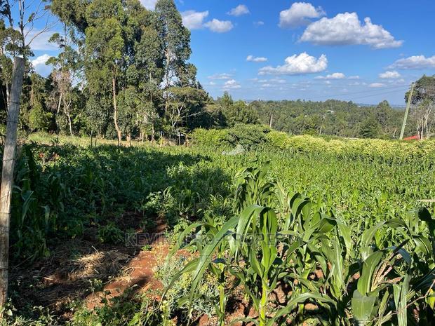 Prime Commercial Plot in Kikuyu, Sigona Along Waiyaki Way.