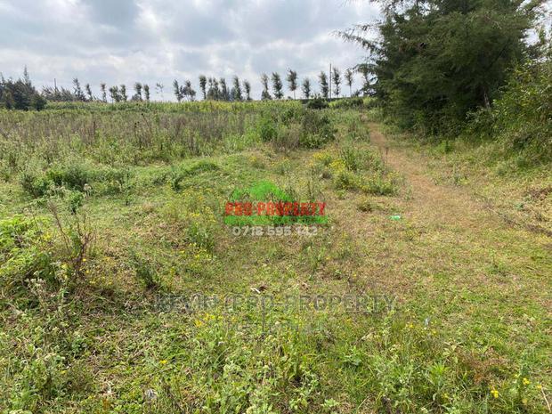 Prime Plot for Sale in Limuru, Kamirithu.