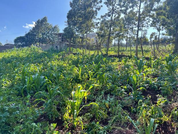 Prime Commercial Plot in Kikuyu, Sigona Along Waiyaki Way.