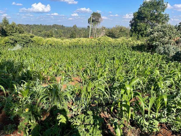 Prime Commercial Plot in Kikuyu, Sigona Along Waiyaki Way.