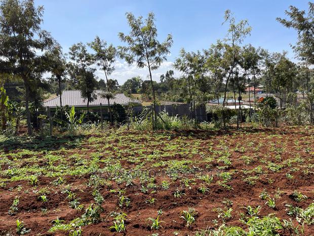 Residential 70 X 100 Fts Plot for Sale in Kikuyu, Gikambura.