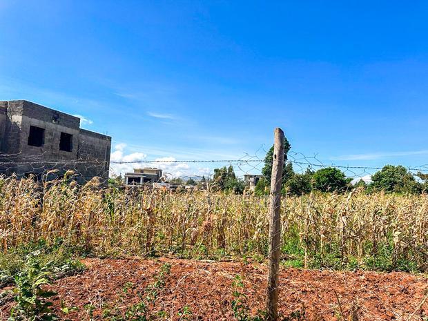 Prime 1/4 Acre Plot for Sale in Kikuyu ,Gikambura.