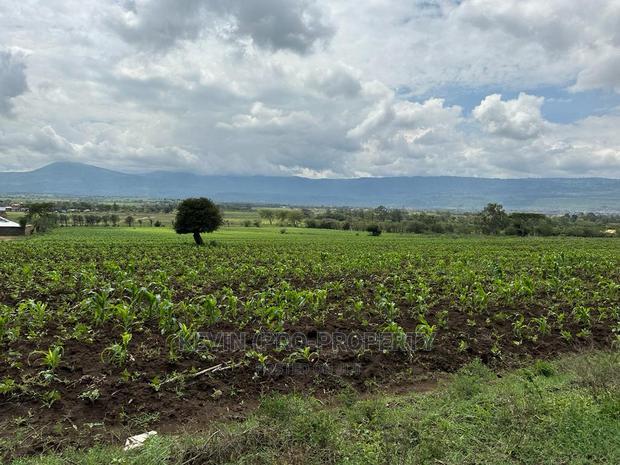 Prime 50by100ft Plots for Sale in Mai-Mahiu