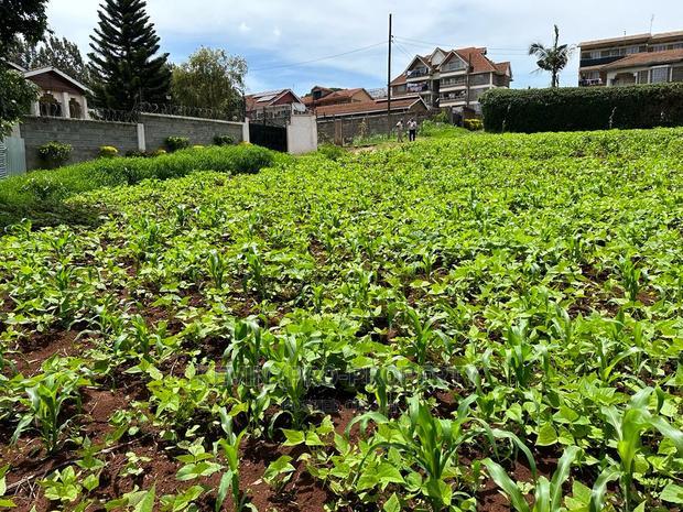 Prime Commercial Plot in Kikuyu Town.