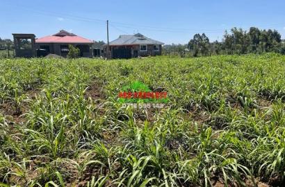 0.05 Ha Prime Residential Plot for Sale in Kikuyu, Kamangu.