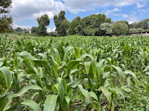 Prime Block of Land for Sale in Kikuyu Town.
