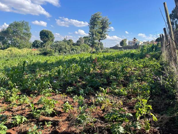 Prime Commercial Plot in Kikuyu, Sigona Along Waiyaki Way.