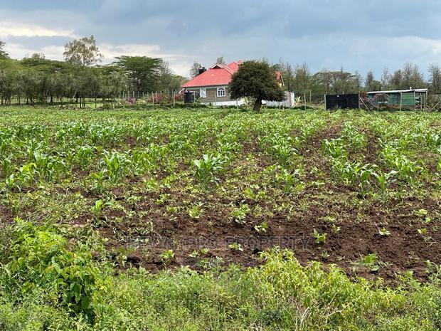Prime 50by100ft Plots for Sale in Mai-Mahiu