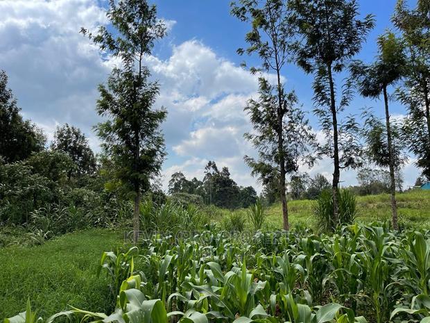 Prime Block of Land for Sale in Kikuyu Town.