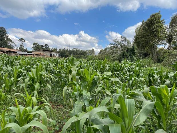 Prime Block of Land for Sale in Kikuyu Town.