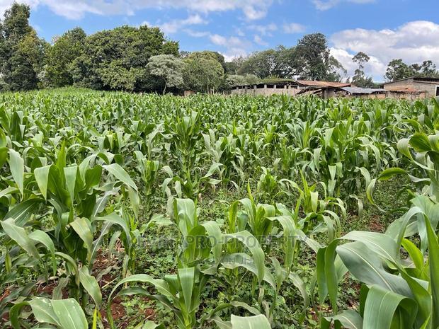 Prime Block of Land for Sale in Kikuyu Town.