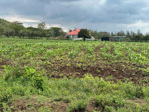 Prime 50by100ft Plots for Sale in Mai-Mahiu