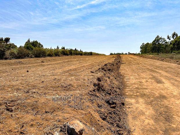 Residential Plots for Sale in Kikuyu, Kamangu, Nguirubi Area