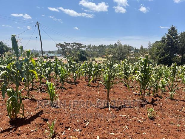 Prime Commercial Plot For Sale In Kikuyu, Gikambura