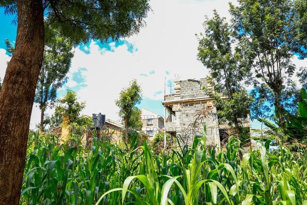 Prime Commercial Plot for Sale in Ruaka, Muchatha