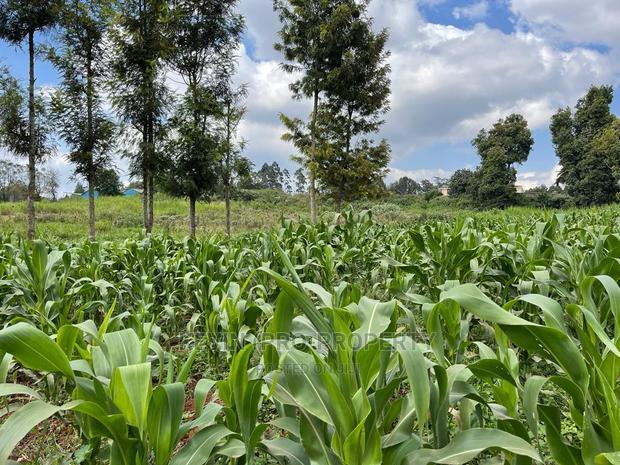 Prime Block of Land for Sale in Kikuyu Town.