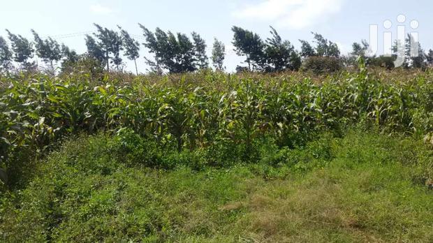 Residential Plots for Sale in Limuru, Mutarakwa Area.