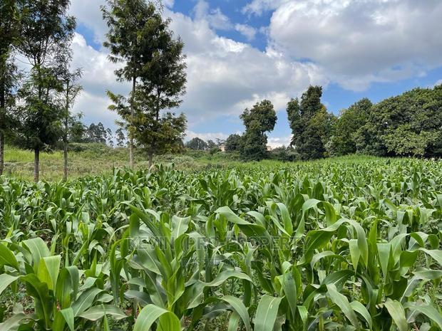 Prime Block of Land for Sale in Kikuyu Town.