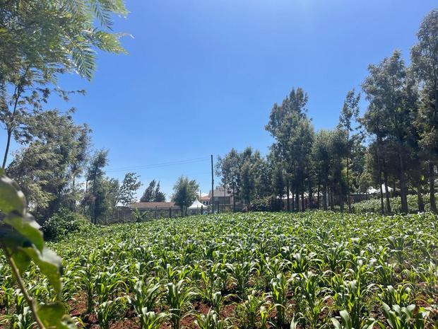 One Acre Land in Kikuyu, Thogoto Near the Southern Bypass.