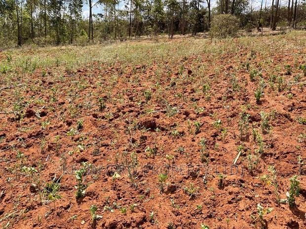 Residential Plot For Sale In Gikambura.(Behind Nairobi Ndogo