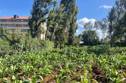 Prime Commercial Plot in Kikuyu, Thogoto-Southern Bypass.
