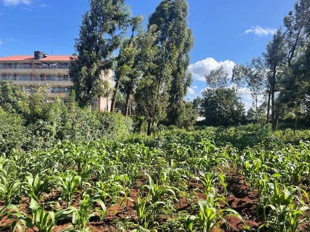 Prime Commercial Plot in Kikuyu, Thogoto-Southern Bypass.
