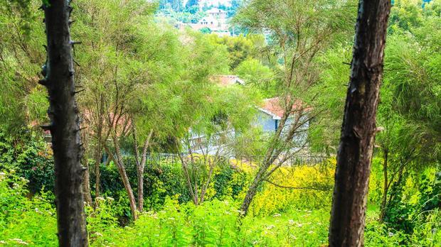 Prime Commercial Plot for Sale in Gitaru