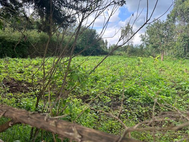 Affordable 1/4 Acre Plot for Sale in Kikuyu-Thigio