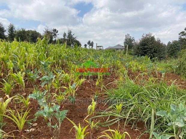 Prime Plot for Sale in Limuru, Kamirithu.