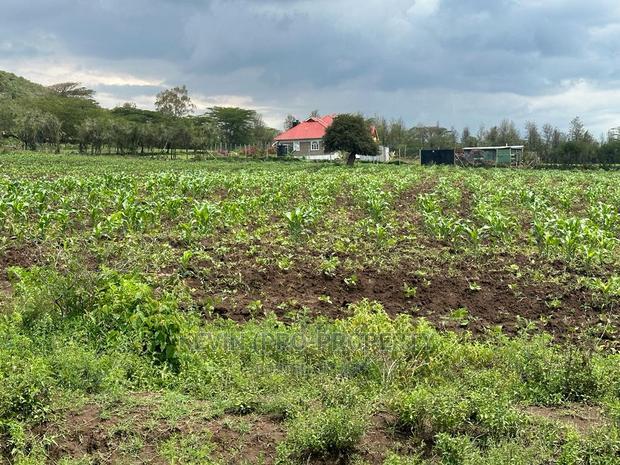 Prime 50by100ft Plots for Sale in Mai-Mahiu