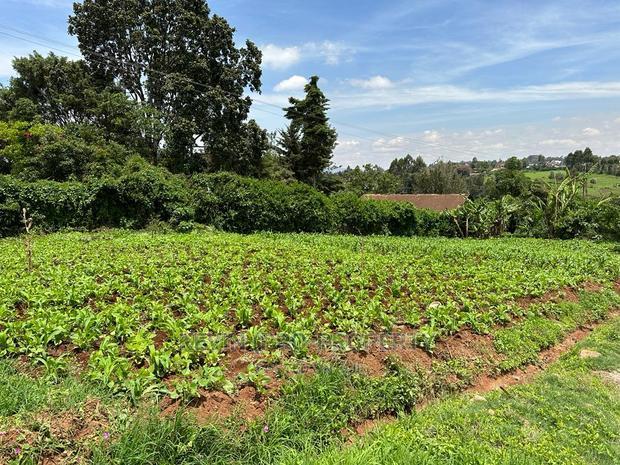 Prime Commercial Plot in Kikuyu Town.