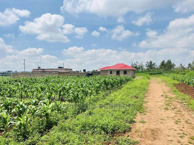 Prime 1/8 Acre Residential Plot for Sale in Kikuyu, Kamangu