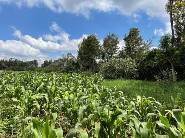 Prime Block of Land for Sale in Kikuyu Town.