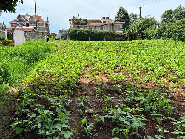 Prime Commercial Plot in Kikuyu Town.