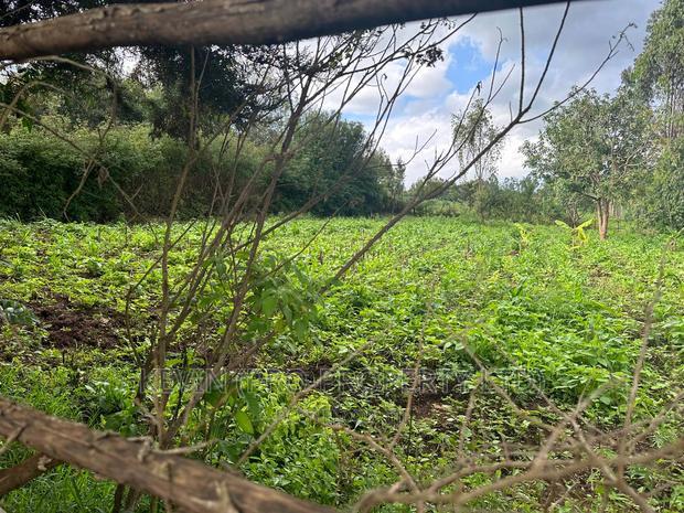 Affordable 1/4 Acre Plot for Sale in Kikuyu-Thigio