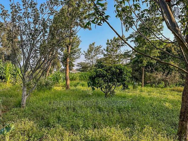 Half Acre Land on Tarmac in Limuru.